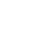 Custom white Tahoe Vista emblem